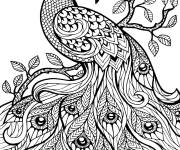 Coloriage Oiseau Paon adulte complexe