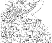 Coloriage et dessins gratuit Oiseau sur un rocher adulte à imprimer
