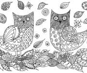Coloriage Oiseaux chatons pour adulte