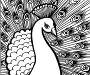 Coloriage Paon adulte