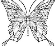 Coloriage Papillon adulte