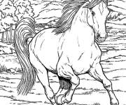 Coloriage Paysage cheval adulte