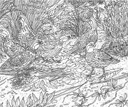 Coloriage Paysage d'oiseaux difficile
