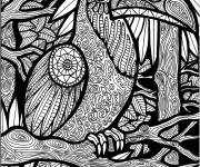 Coloriage Perroquet adulte