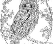 Coloriage Tableau de chouette pour adulte