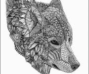 Coloriage T&ecirc;te d'ours adulte &agrave; motif complexe