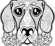 Coloriage T&ecirc;te de chien adulte
