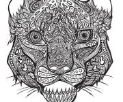 Coloriage T&ecirc;te de tigre adulte