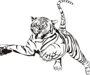 Coloriage Tigre adulte