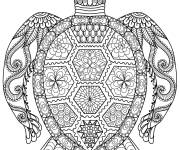 Coloriage Tortue adulte en ligne