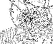 Coloriage Un l&eacute;opard mouchet&eacute; anti-stress