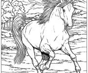 Coloriage et dessins gratuit Adulte Cheval dans la nature à imprimer