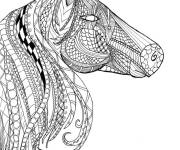 Coloriage et dessins gratuit Adulte cheval vue proche à imprimer