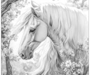 Coloriage Cheval blanc pour adulte