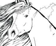 Coloriage et dessins gratuit Incroyable cheval pour adulte à imprimer