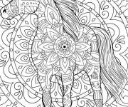 Coloriage Mandala adulte d'un beau cheval