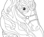 Coloriage Museli&egrave;re cheval adulte