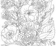 Coloriage et dessins gratuit Fleurs Adulte différentes à imprimer