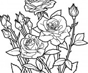 Coloriage Fleurs au début de Printemps