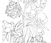 Coloriage Adulte Fleur et Papillon