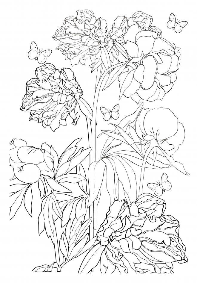 Coloriage Adulte Fleur Et Papillon Dessin Gratuit à Imprimer