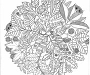 Coloriage Adulte Jardin et Nature