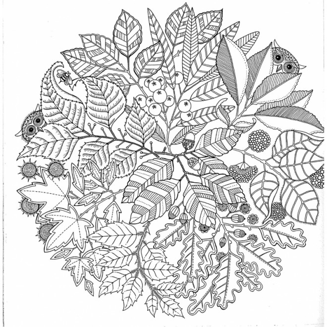 Coloriage Adulte Jardin et Nature dessin gratuit à imprimer