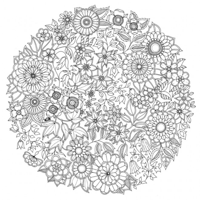 Coloriage Adulte Jardin Plantes Dessin Gratuit A Imprimer Coloriage Adulte Jardin Plantes Dessin Gratuit A Imprimer