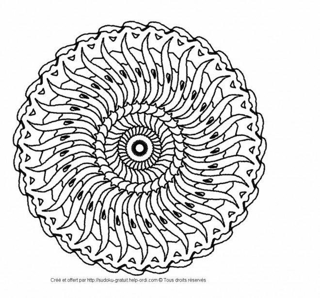 Coloriage et dessins gratuits Adulte Mandala Coquille à imprimer