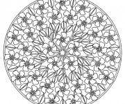 Coloriage et dessins gratuit Adulte Rose Mandala à imprimer