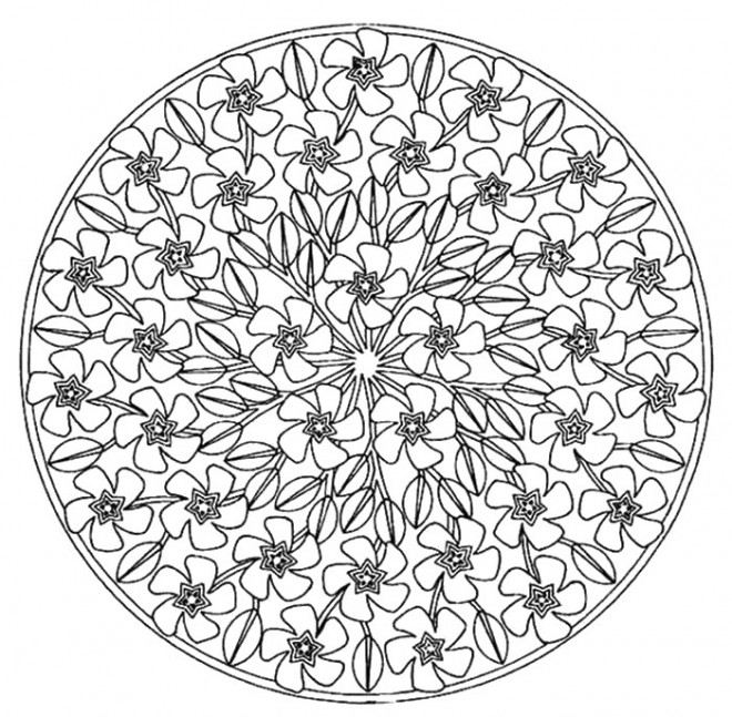 Coloriage Adulte Rose Mandala dessin gratuit à imprimer