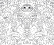 Coloriage et dessins gratuit Hibou Animaux Mandala à imprimer