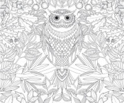 Coloriage et dessins gratuit Hibou Animaux Mandala à imprimer