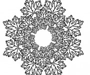 Coloriage Mandala Feuilles d'arbre Adulte