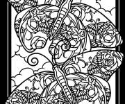 Coloriage Adulte Papillon