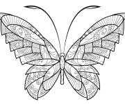 Coloriage Adulte Papillon &agrave; colorier