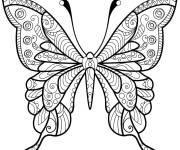 Coloriage Adulte Papillon &agrave; imprimer