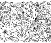 Coloriage et dessins gratuit Adulte papillon croquis à imprimer