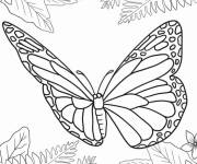 Coloriage Adulte papillon en volant