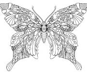 Coloriage Adulte Papillon mandala