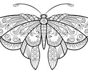 Coloriage Charmante papillon pour adulte