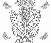 Coloriage Des papillons sur une fleur adulte