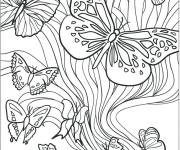 Coloriage Diff&eacute;rents papillons adulte