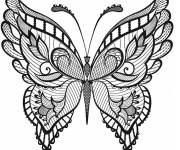Coloriage Exemple adulte papillon