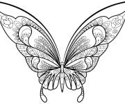 Coloriage Insecte papillon adulte