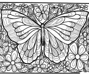 Coloriage Jolie Papillon pour adulte