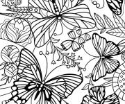 Coloriage Livre de coloriage papillon pour adulte