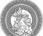 Coloriage Mandala papillon complexe d&eacute;stressant