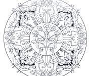 Coloriage Mandala papillons difficile