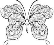 Coloriage Page de coloriage adulte papillon